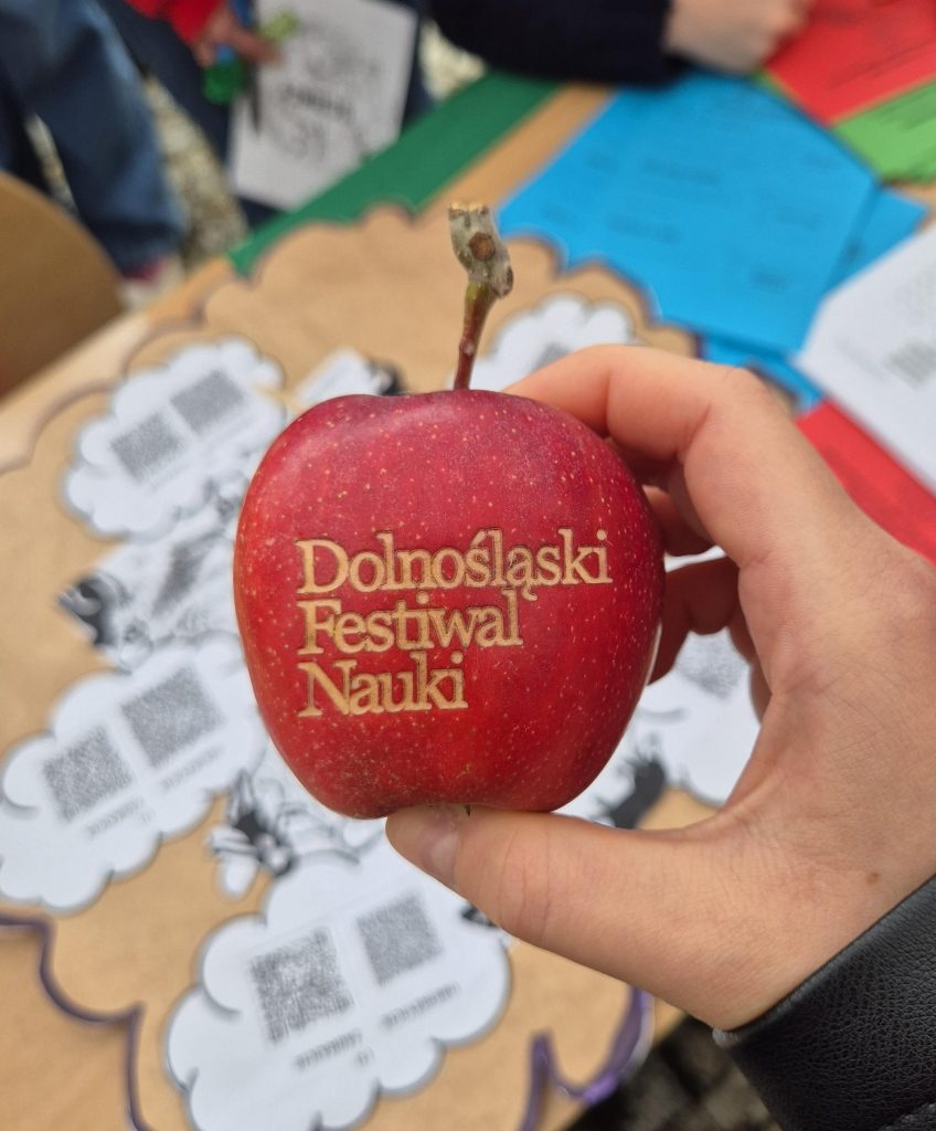 Jabłko z logiem DFN