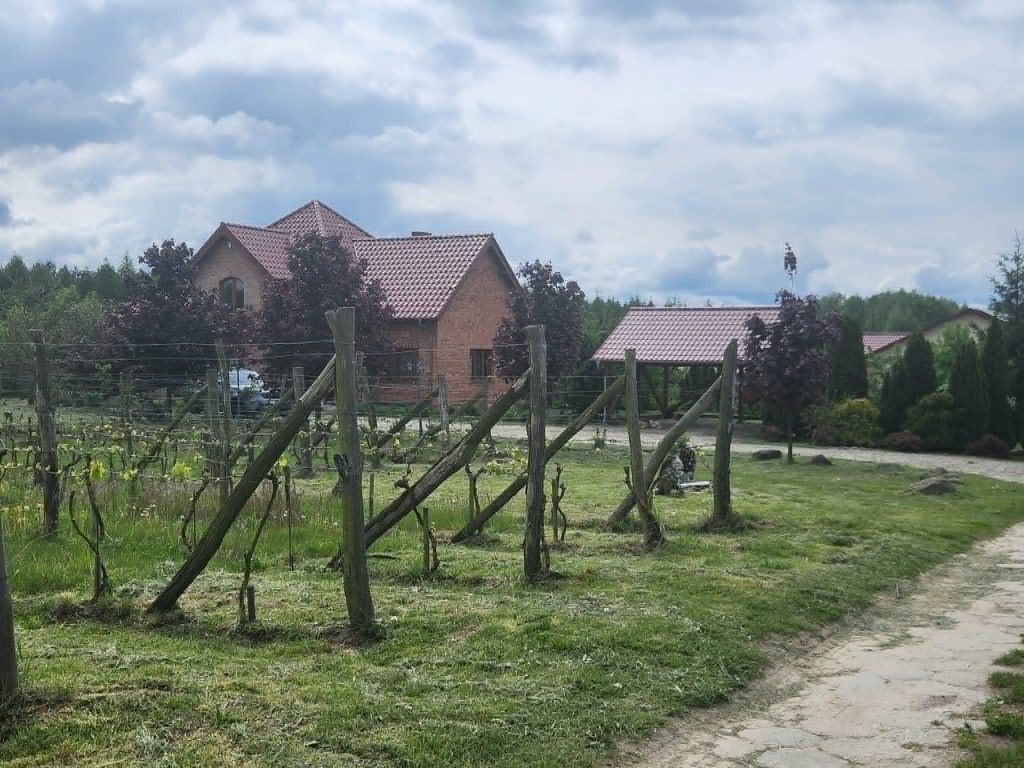 mozów
